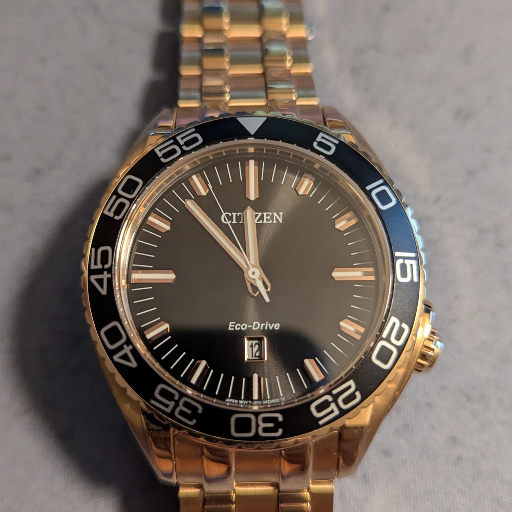 Citizen Eco-Drive Gold and Black Watch